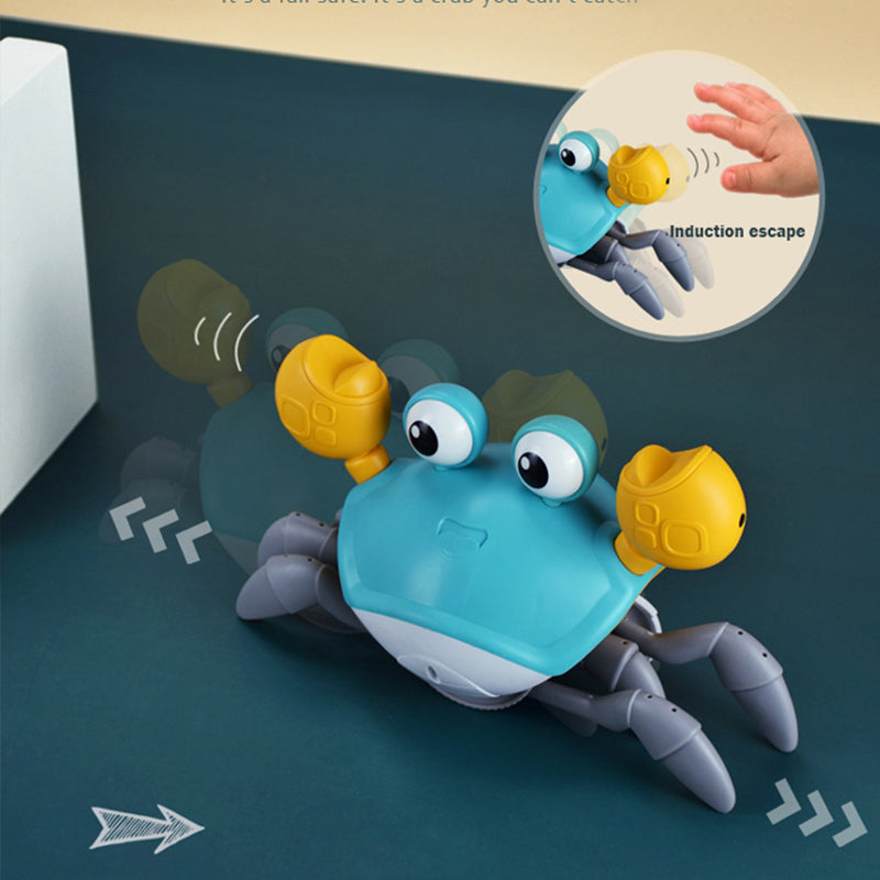 Dog Crab Toy